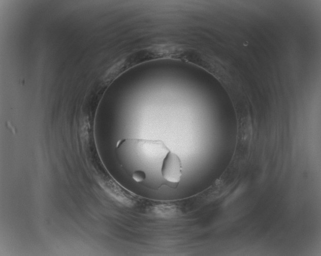 X0000081370279200701111556