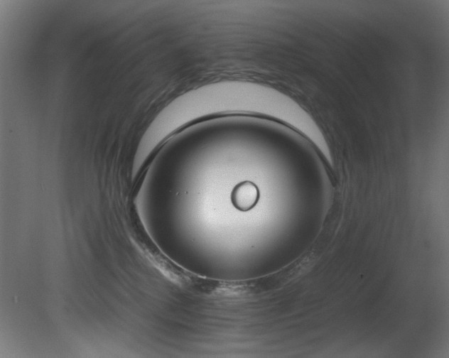 X0000081370280200701111556