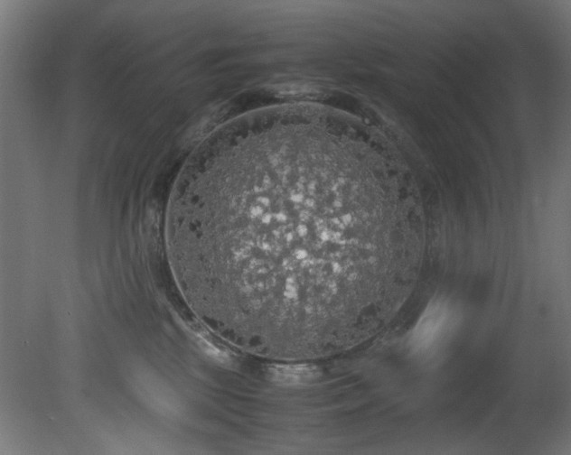 X0000081370281200701111556