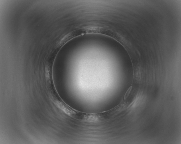 X0000081370282200701111556