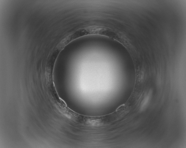 X0000081370283200701111556