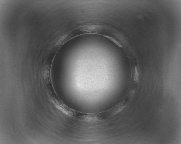 X0000081370284200701111556
