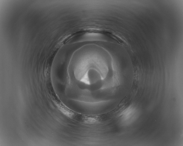 X0000081370285200701111556