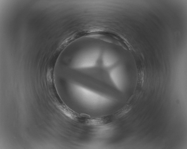 X0000081370286200701111556