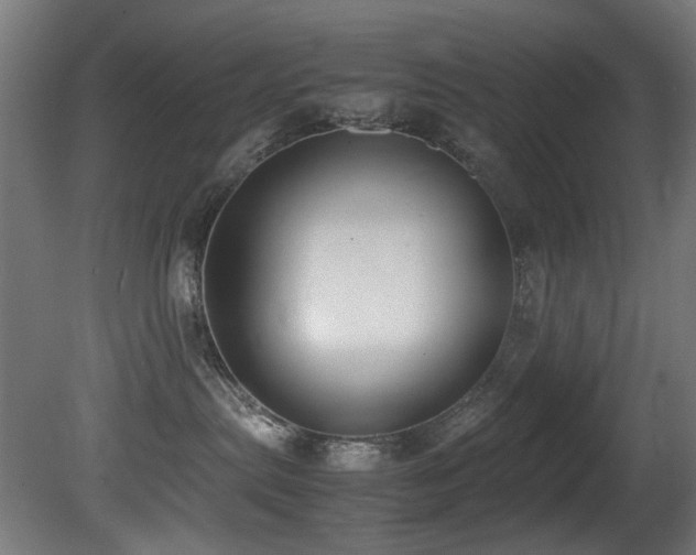 X0000081370287200701111556