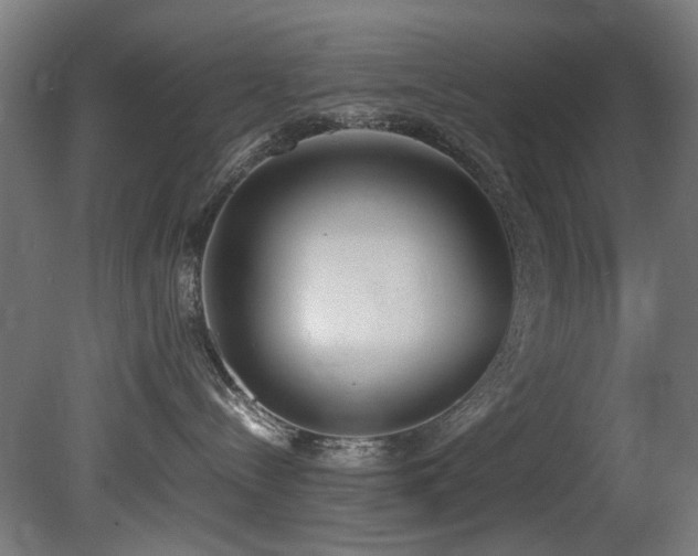 X0000081370288200701111556