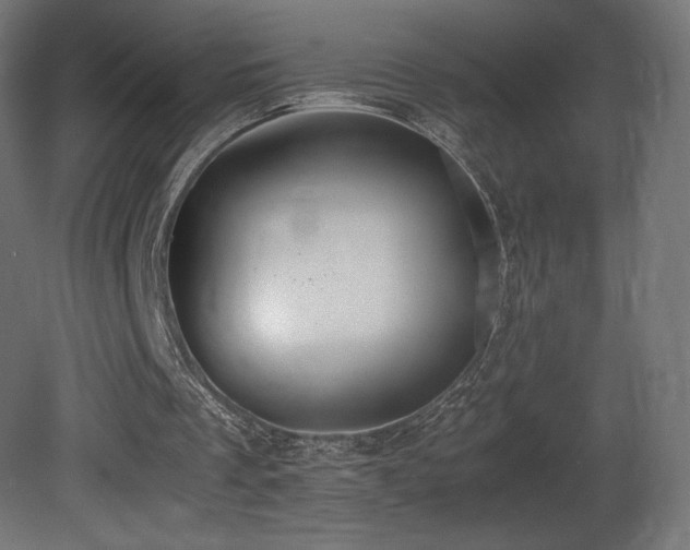 X0000081370289200701111555