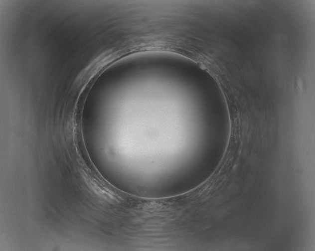 X0000081370290200701111555