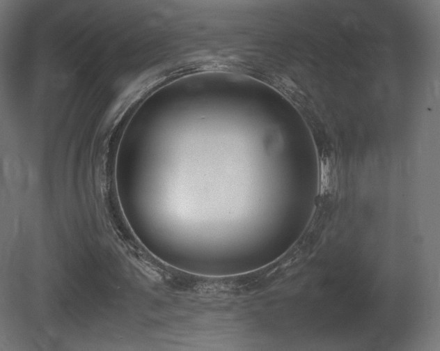 X0000081370291200701111555