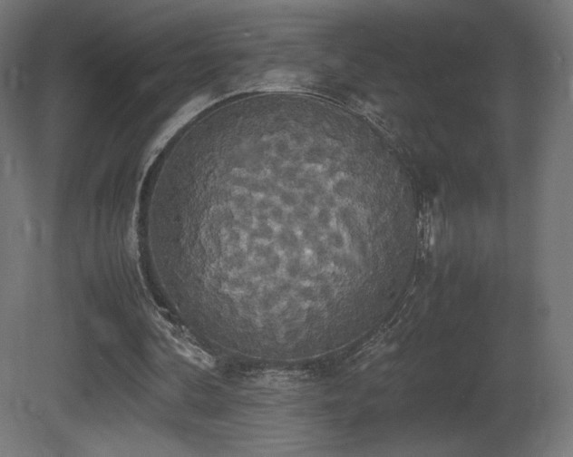 X0000081370292200701111555