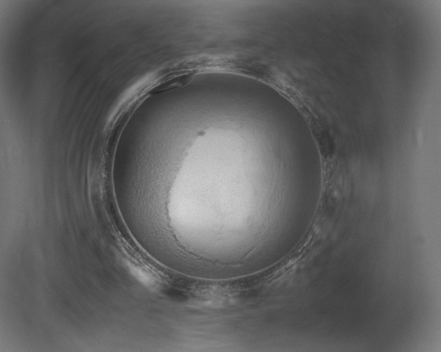 X0000081370293200701111555