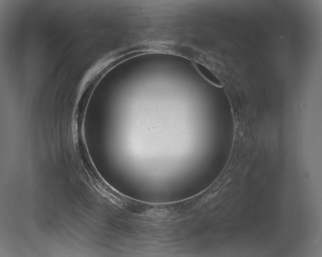 X0000081370294200701111555