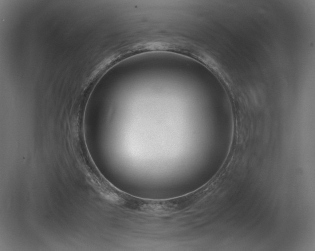 X0000081370297200701111555
