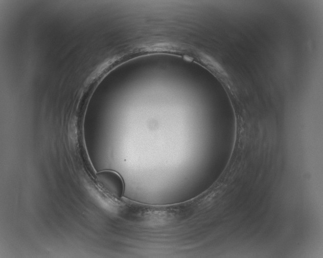X0000081370298200701111555