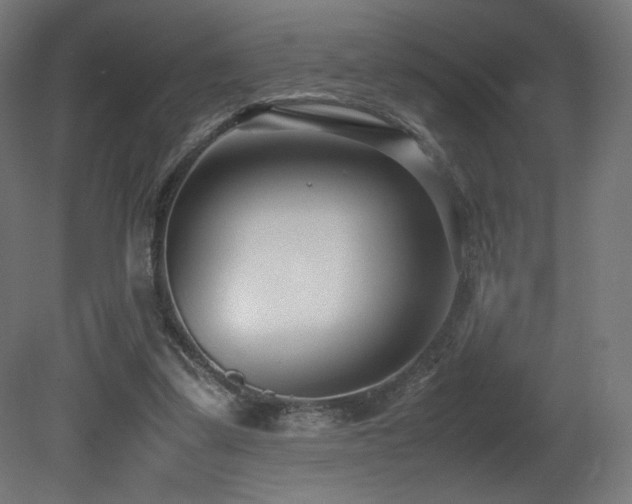 X0000081370299200701111555