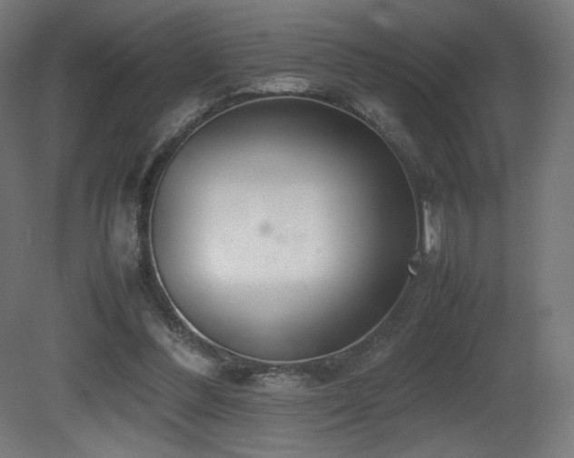 X0000081370300200701111555