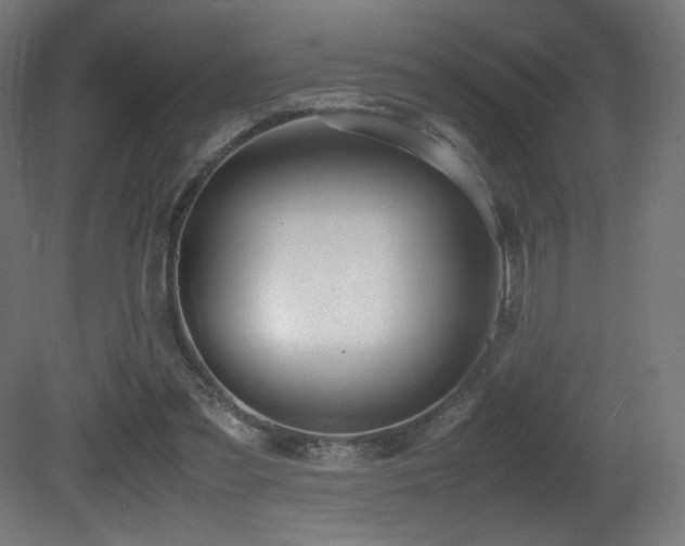 X0000081370301200701111555