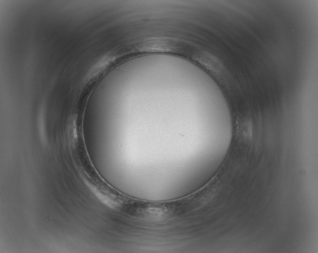 X0000081370302200701111555