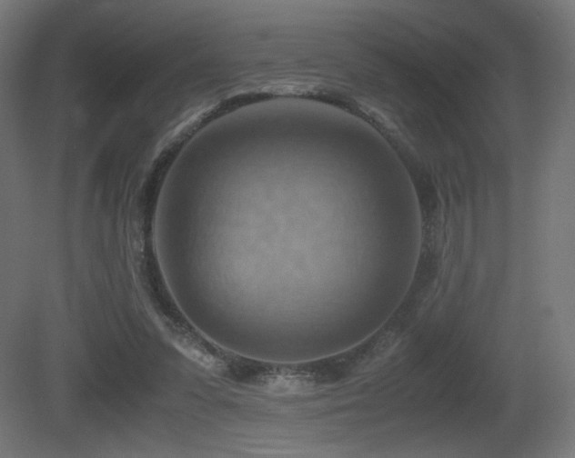 X0000081370303200701111555