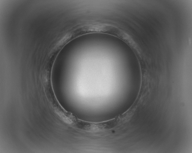 X0000081370305200701111555