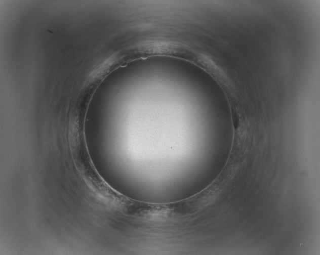 X0000081370306200701111555