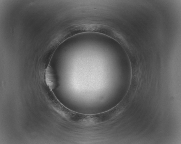X0000081370307200701111555
