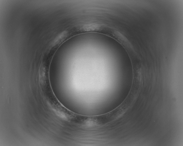 X0000081370308200701111555