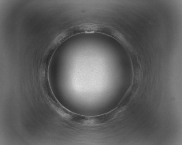 X0000081370309200701111555