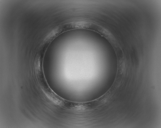 X0000081370310200701111555