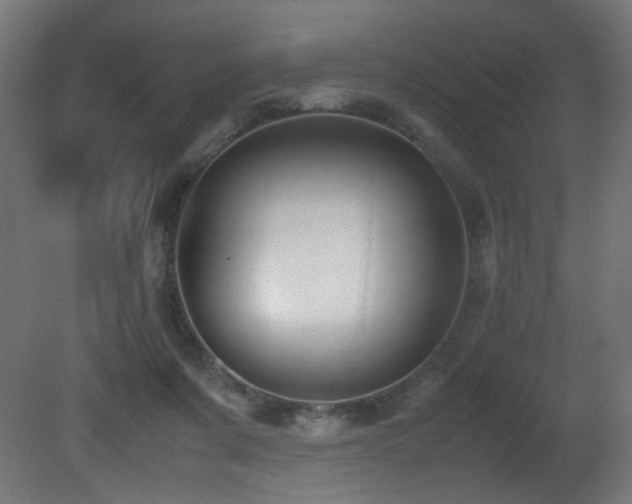X0000081370311200701111555