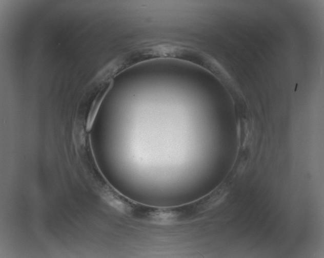 X0000081370313200701111555