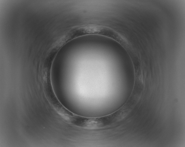 X0000081370315200701111555
