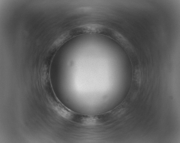 X0000081370318200701111555