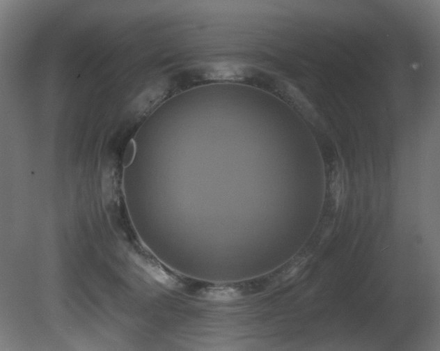 X0000081370322200701111554