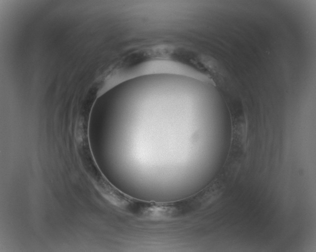 X0000081370323200701111554
