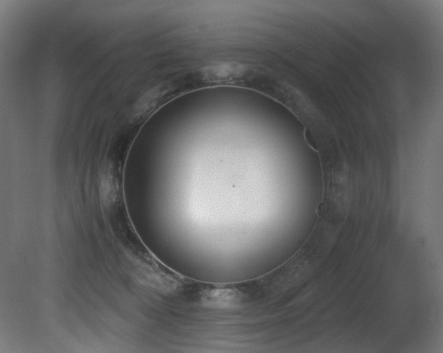 X0000081370324200701111554
