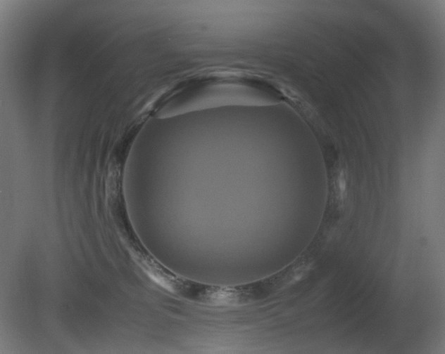 X0000081370325200701111554