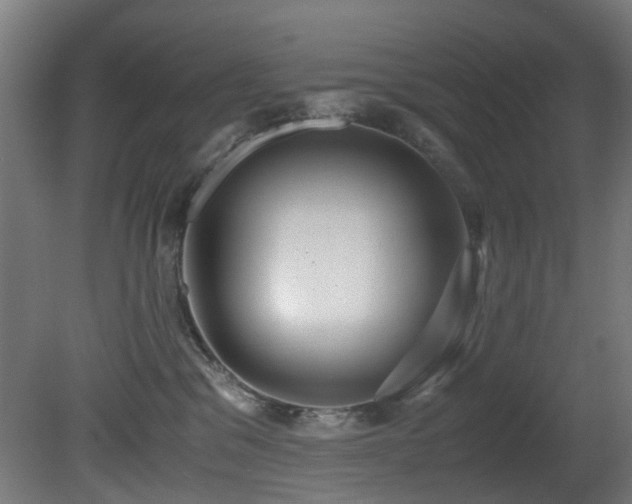 X0000081370329200701111554