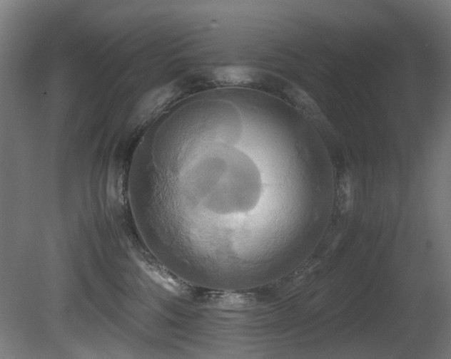 X0000081370330200701111554