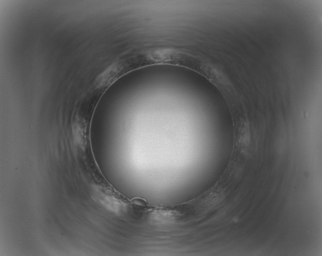 X0000081370332200701111554