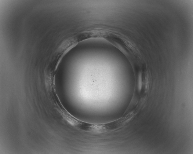 X0000081370333200701111554