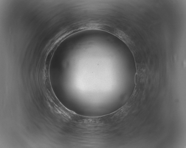 X0000081370338200701111553