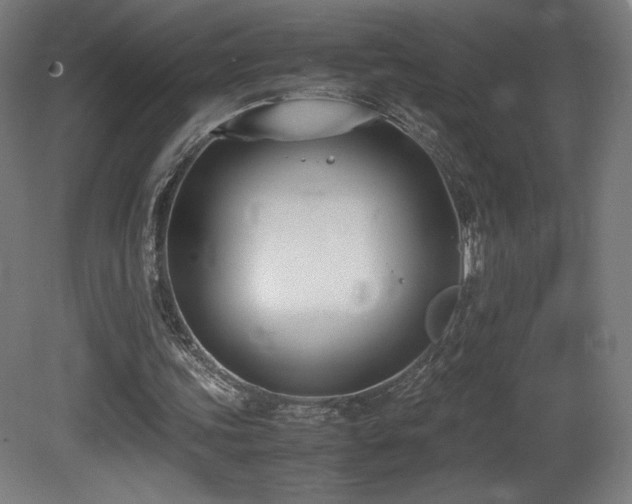 X0000081370339200701111553