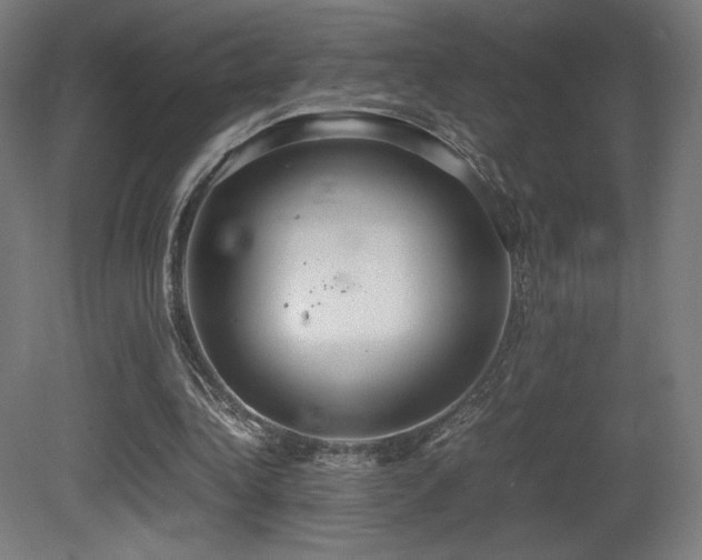X0000081370340200701111553