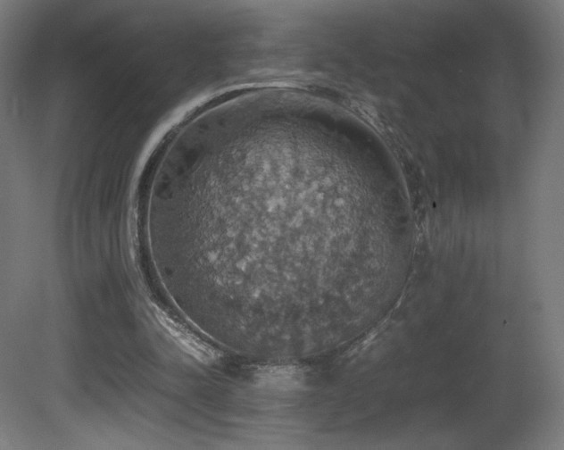 X0000081370342200701111554