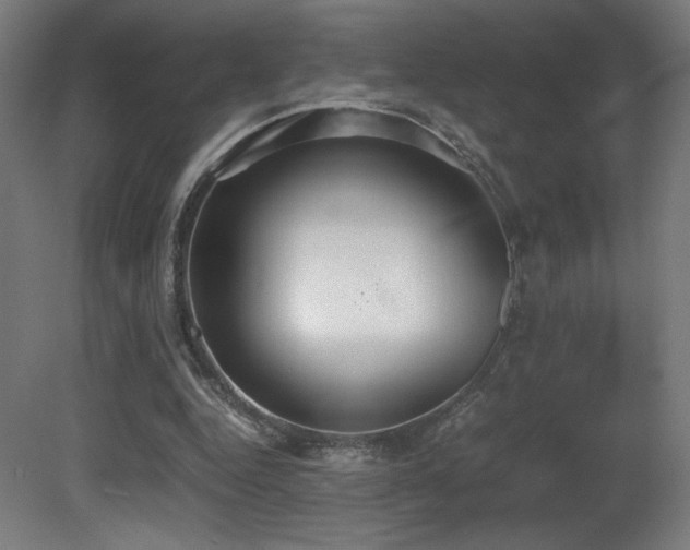 X0000081370344200701111554