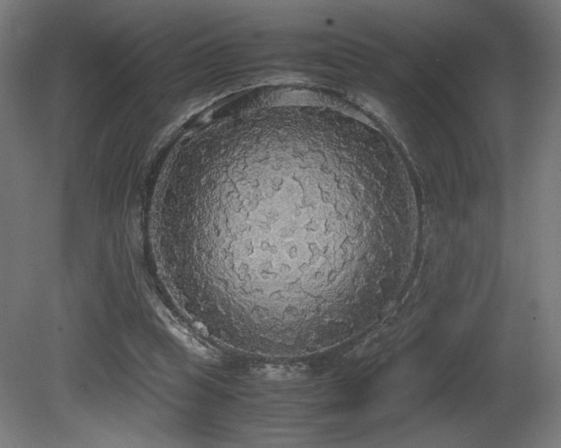 X0000081370345200701111554