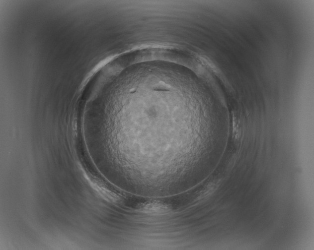 X0000081370348200701111554