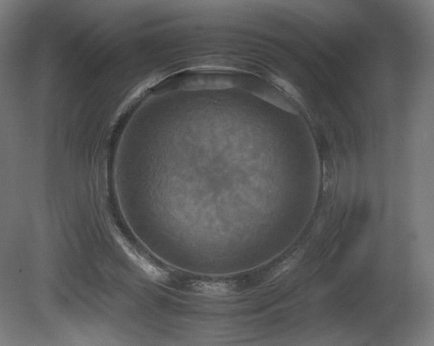 X0000081370349200701111554
