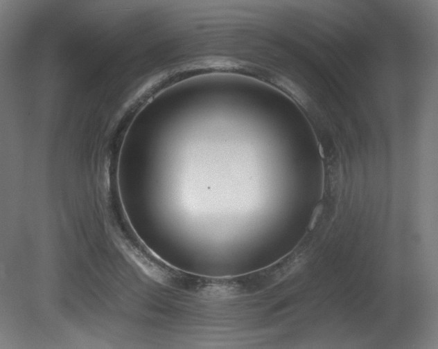 X0000081370350200701111554